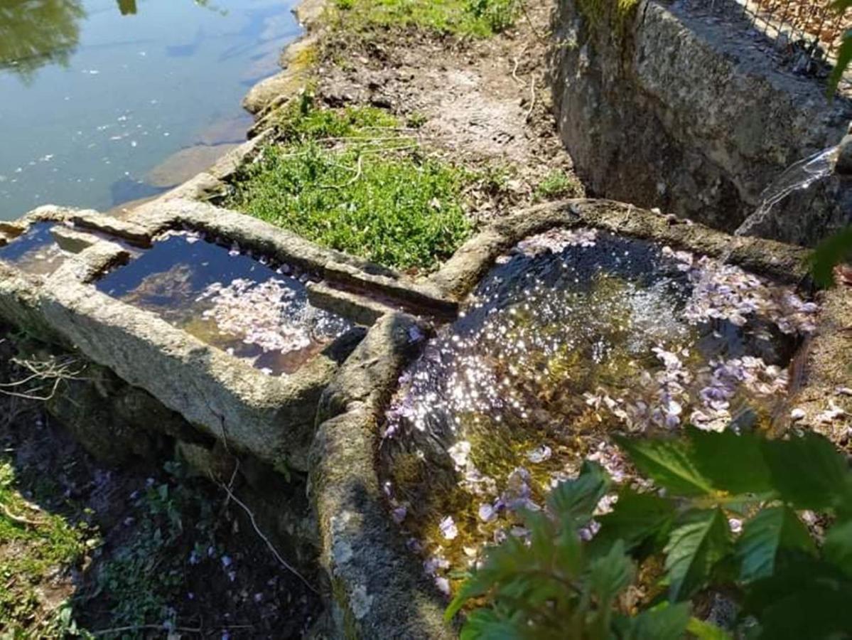 Willa Casa De Sta Comba Barcelos Zewnętrze zdjęcie