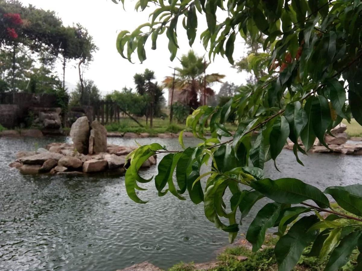 Willa Casa De Sta Comba Barcelos Zewnętrze zdjęcie